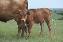 JACKHAMMER X CTC FAME & FORTUNE TAG 302